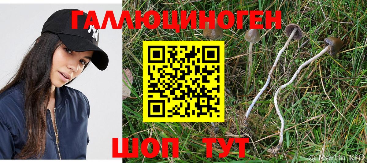 Псилоцибиновые грибы Psilocybine cubensis  Вход с VPN  Аксай 